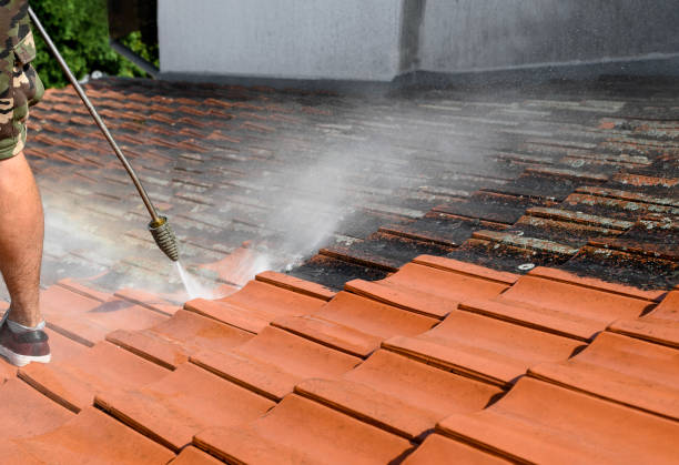 Best Roof Power Washing Services  in New London, MN