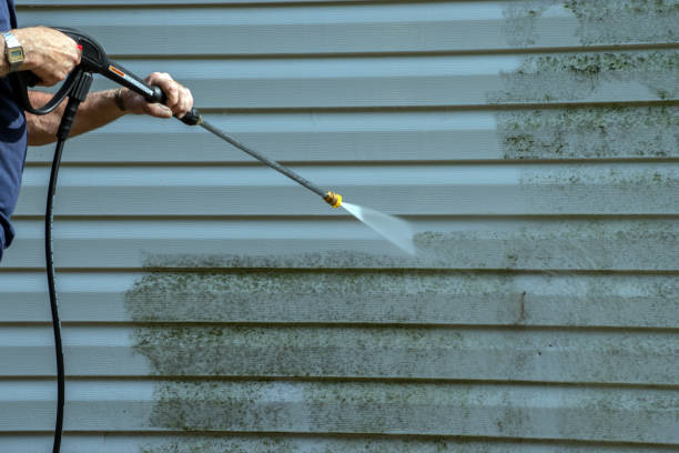 Best Residential Pressure Washing Services  in New London, MN