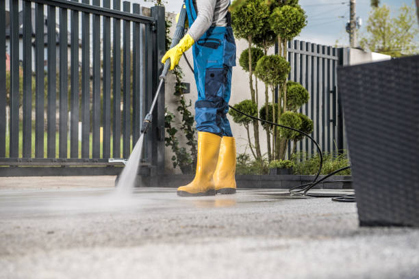 Best Concrete Pressure Washing  in New London, MN