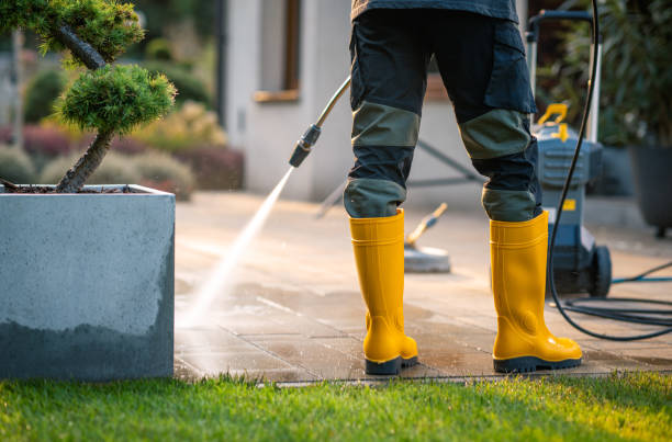 Best Affordable Power Washing  in New London, MN
